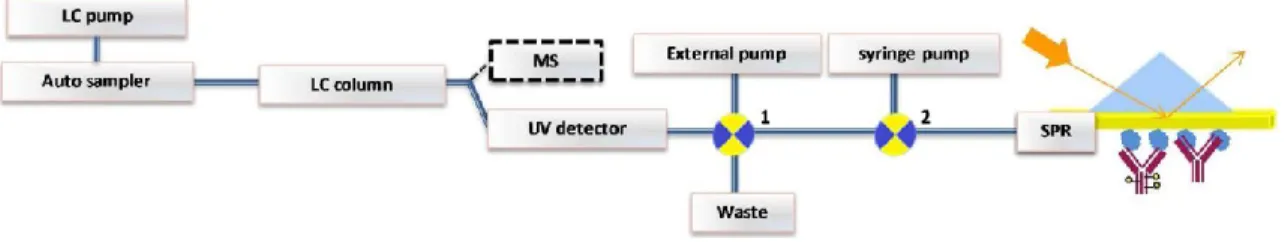 Fig. 1 Schematic representation of the online LC-SPR system. LC separation of biomacromolecules by, e.g., SEC or CEX is  followed by successive online UV absorbance and SPR detection