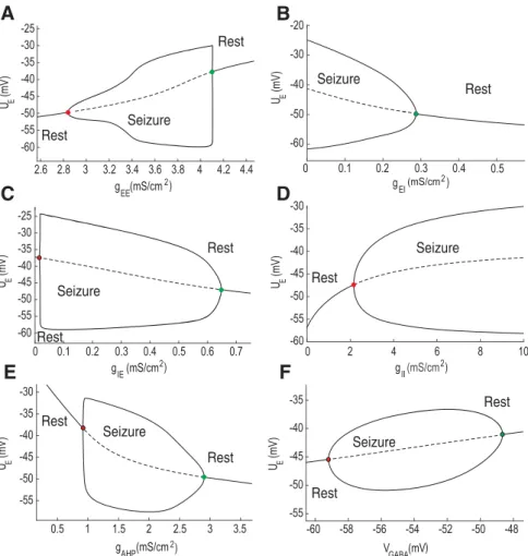 Figure 4. Analysis of the population model. A–D, Bifurcation diagrams for the variations of the maximal synaptic conductances, including recurrent excitation g EE , excitation from excitatory to inhibitory population g EI , inhibition from inhibitory to ex