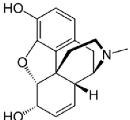 Figure 4 : Molécules de la Morphine ((5α, 6α)-7,8-didéhydro-4,5-époxy-17-                                                                                    méthylmorphinan-3,6-diol) (79) 