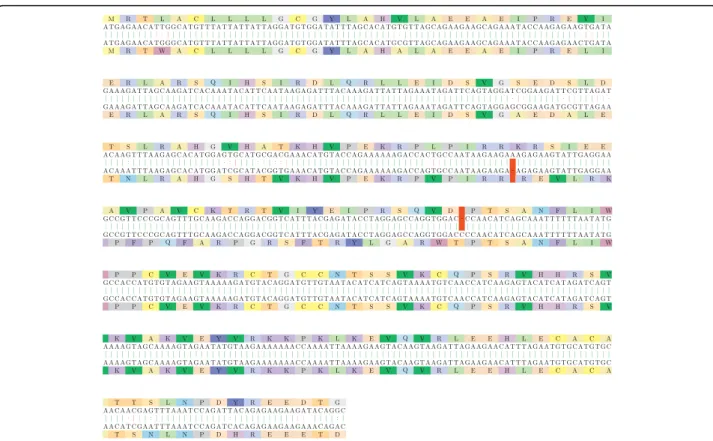 Figure 12 Platelet-derived growth factor proteins. The alignment of the back-translated platelet-derived growth factor proteins from Homo sapiens and Ratus sp ([Swiss-Prot:P04085.1] and [DDBJ:BAA00987.1])
