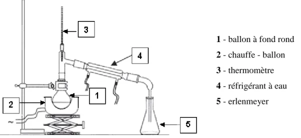 Figure 4. Schéma général d’un hydrodistillateur