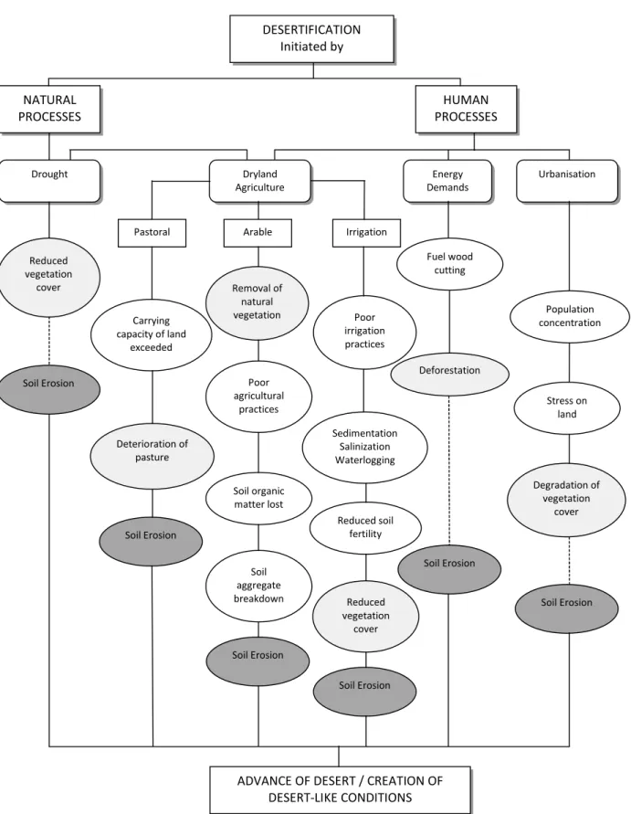 Figure 01: Les causes et le développement de la désertification. Les ellipses gris clair sont celles qui impliquent la réduction du couvert végétal, tandis que les gris foncés impliquent l'érosion des sols