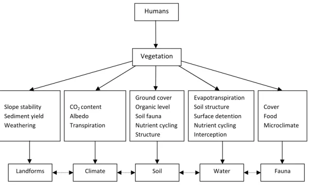 Figure 02 : Quelques ramifications du changement de la végétation induites par l’homme (Goudie, 2006).