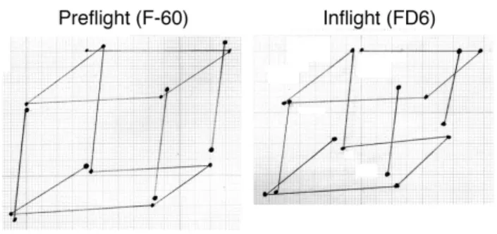 Figure  5.  These  graphs  show  the  average  of  each  end  point  of  lines  for  ten  Necker’s  cubes  drawn  with  the  eyes  closed  by  an  astronaut on the ground and during a spaceflight