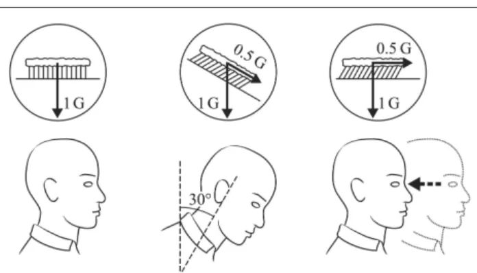 Figure 1. The otolith crystals bend the hair cells of the utricles  the  same  way  when  the  head  is  maintained  at  a  constant  tilt  angle of 30 deg relative to gravity and when the whole body is  translating  backwards  at  0.5  g