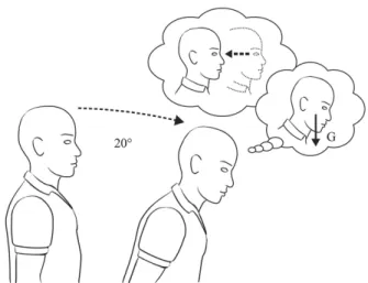 Figure  2.  In  microgravity,  the otolith  organs are  stimulated  by  head  translation,  but  not  by  head  tilt