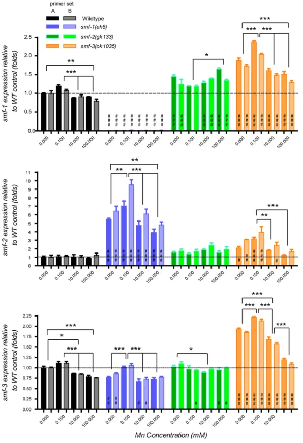 Figure 9. Genotype and Mn exposure influence on smf gene expression. Both independent primer sets corresponding to the 39 end of the cDNA and used to assess smf gene expression (set A bright colors, and set B faded colors) give consistent results (A, B, C)