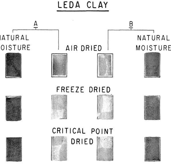 FIG. 1.-Volumc  change  o i   scnsitivc  clay  soils  di-ictl by  tliffercnt  mctl~ods