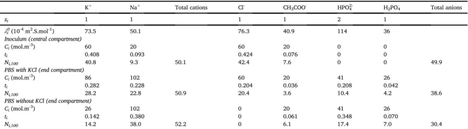 Fig. 4. Ion ﬂ uxes induced by the electric ﬁ eld at the CCA and CCC interfaces during Step 2