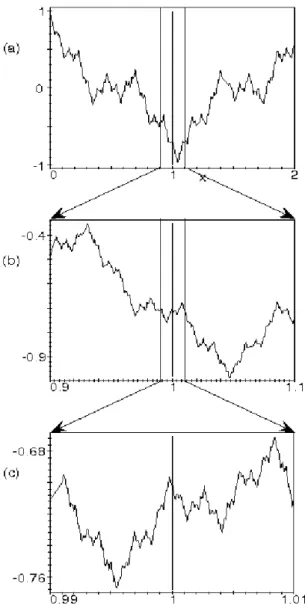 Fig. 5.4  La fonction de Weirstrass ne peut être approchée par des segments de droite