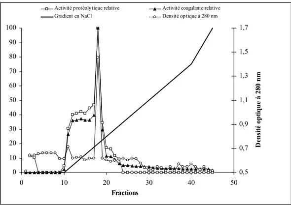 Figure 19 : Profil d’élution des  fractions de  l’extrait  brut  de  pepsine  après  purification partielle par  FPLC  sur  colonne  mono  Q  sépharose  (20  à  50  mg  de  protéines)