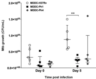 Fig. 2: human monocyte-derived dendritic cells (MDDCs) control the  intracellular growth of the Mycobacterium tuberculosis (Mtb)  clini-cal strains independent of virulence