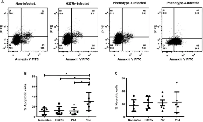 Fig. 3: the Mycobacterium tuberculosis (Mtb) clinical strain bearing low virulence induces high levels of apoptosis in monocyte-derived dendritic  cells (MDDCs)