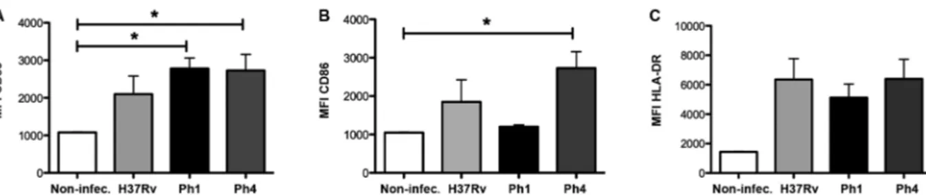Fig. 4: virulence of Mycobacterium tuberculosis (Mtb) strains does not affect the activation of monocyte-derived dendritic cells (MDDCs)