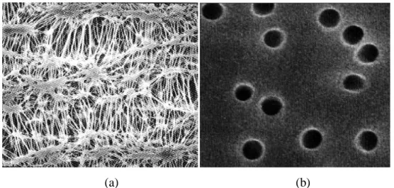 Figure 2. Photographies en MEB de deux types de filtres (Goulaouic, 2009) 