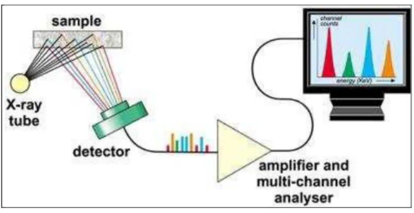 Figure 3. Principe de la EDXRF (Galez, 2011) 