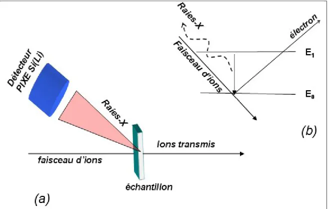 Figure 5. Schéma de principe de l’analyse PIXE (a) et de production des photons X par  ionisation de l’atome cible par un ion incident (b)(Nguyen, 2008) 