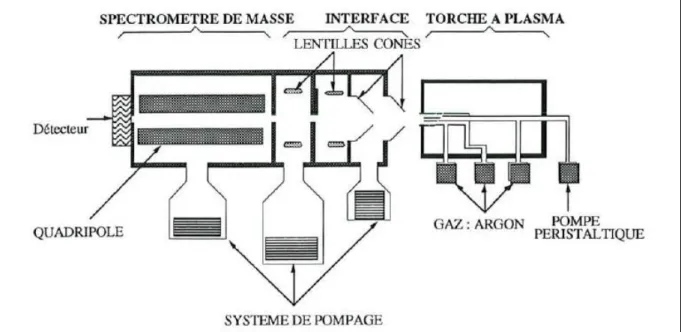 Figure 9. Représentation schématique du couplage torche à   plasma-spectrométrie de masse (Rosin, 1993) 