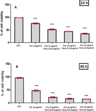 Figure 4. Effect of different concentrations of verjuice (Verj) in combination with cisplatin (Cis) on the  survival of A549 cells after (A) 24 h and (B) 48 h of treatment