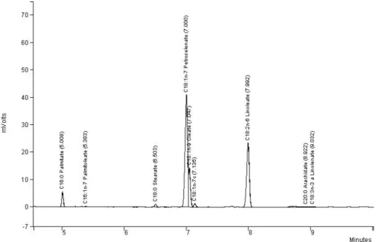 Figure 2. Chromatogram of fatty acid composition of Lebanese population of cumin.