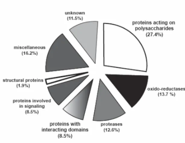 Fig. 4.  Distribution of A. thaliana CWP  identified through proteomic studies in  functional classes