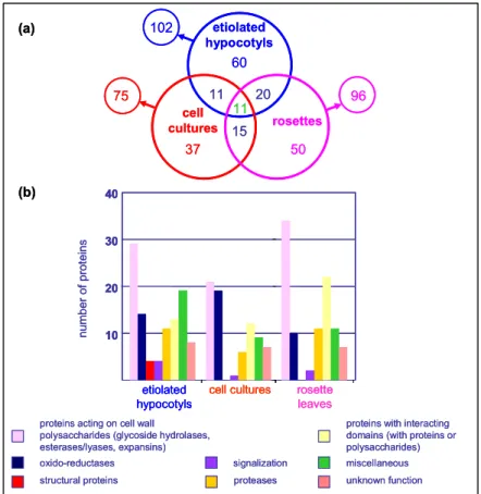 Figure 1.  Comparison of partial cell wall proteomes of etiolated hypocotyls, cell suspension cultures, and  rosette leaves