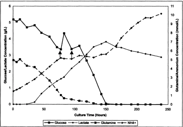 Figure 15 - Metabolic  Data  for HPCHO Fed-Batch  Run No.  1. The black arrows indicate feeding doses.