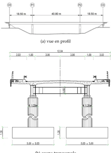 Figure 3.2.7: Pont mixte acier-béton à trois travées - famille d’ouvrages de petite portée (B4 et B5).
