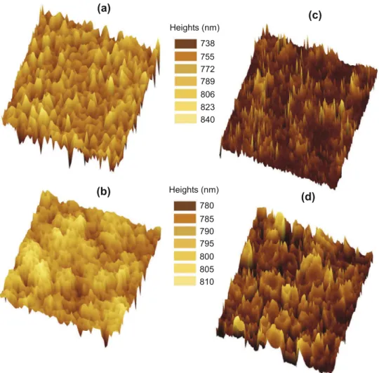 Fig. 6 shows the simulated surfaces (6a, 6b) and the corre- corre-sponding experimentally obtained surfaces (6c, 6d) characterized by interferometry