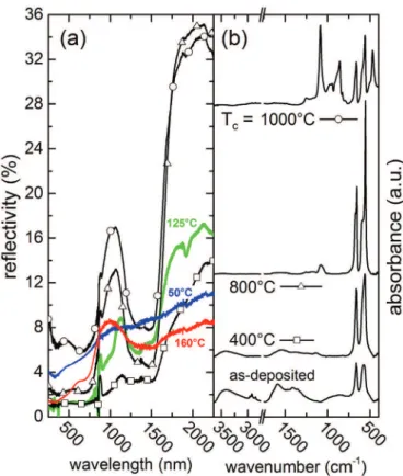 Fig. 6. SEM images of the surface of a coating processed at 125 °C, as-processed (a) and after calcination at 1000 °C (b)