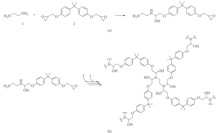 Figure 1: A few steps of the polymerization reaction between one EDA (1) and one DGEBA (2) monomer (a), leading to the ﬁnal cross-linked structure (b).