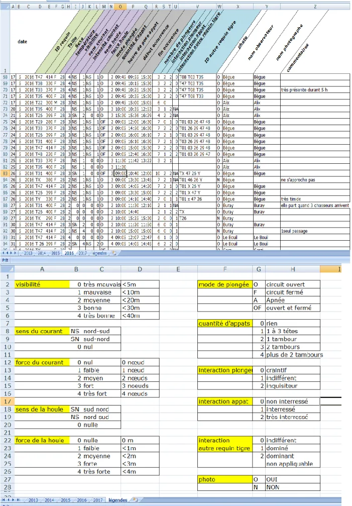 Figure 23. Extrait de la fiche d'occurrences et légendes de celle-ci. 