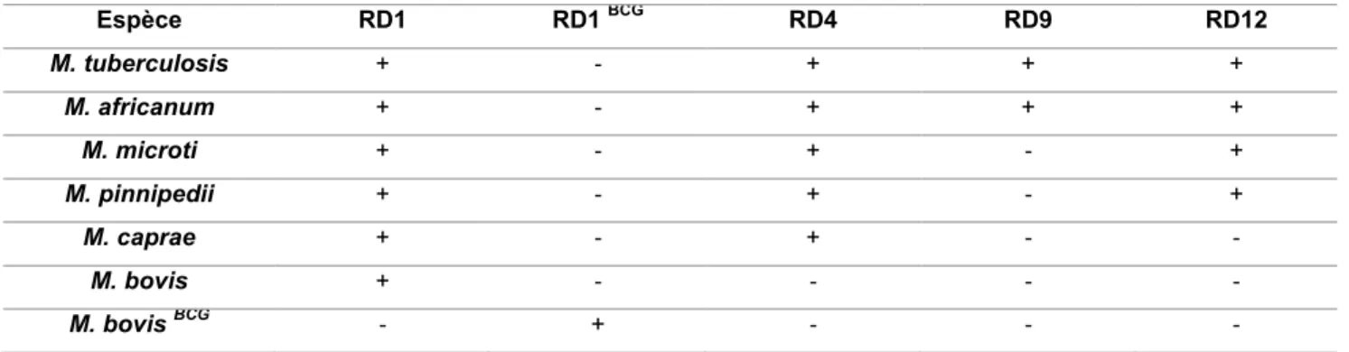 Tableau 6 : Exemple de RD utilisées pour la discrimination du MTBC (Warren et al. 2006)