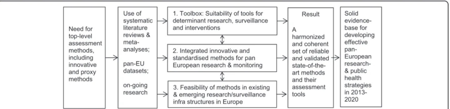 Figure 1 Logic framework for the tasks in Thematic Area 1 ‘ Assessment and harmonisation of methods for future research, surveillance and monitoring and evaluation of interventions and policies ’ .