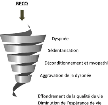 Figure 5 : La spirale du déconditionnement. Concept présenté A. Young et coll. [53]. 