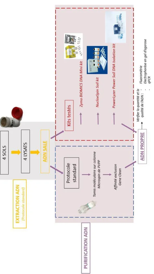 Figure 1 : Schéma de contexte