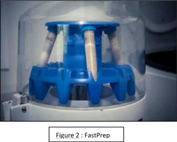Figure 2 : FastPrep 