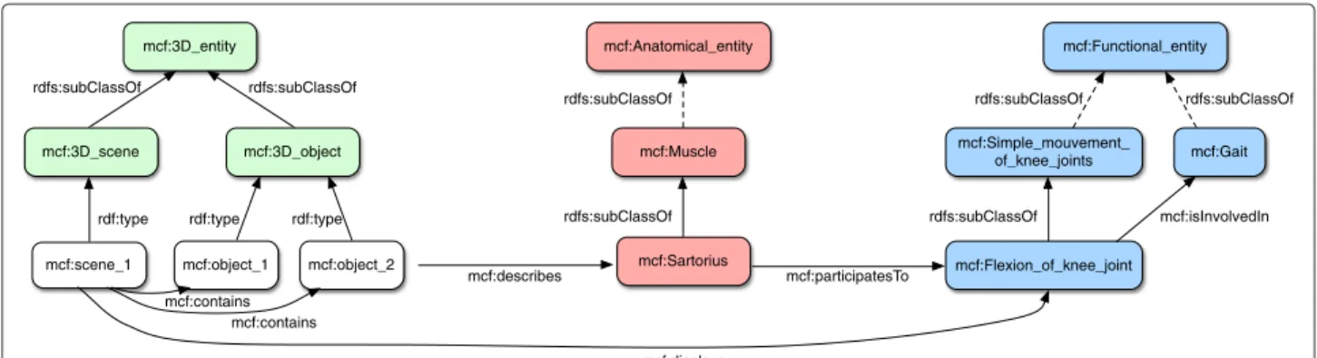 Figure 6 The general structure of MyCF ontology (extract). The three taxonomies of MyCF are interconnected allowing a high level of knowledge expression.
