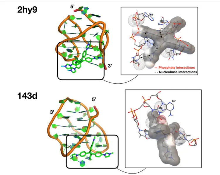 FIGURE 4 | Structures of the most stable docking solutions for each G4 target (see PDB ID on the left)