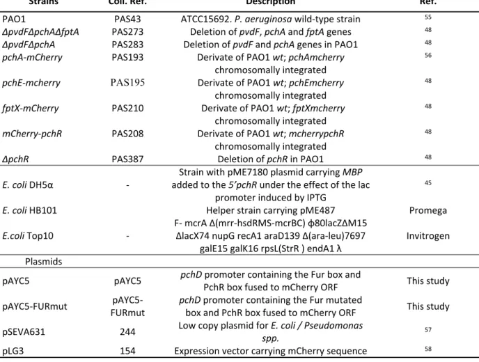 Table 1. Bacterial strains and plasmids used in this study.