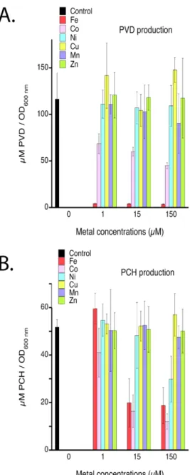 Figure 2. PVD (A) and PCH (B) production by P. aeruginosa PAO1 in the absence and presence of different  biological metals