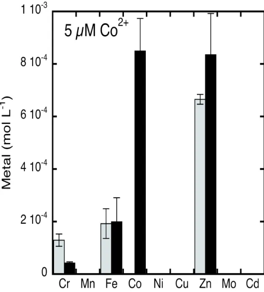 Figure 5. Total content of biological metals in P. aeruginosa PAO1 cells grown in CAA medium with or  without 5 µM CoCl 2 