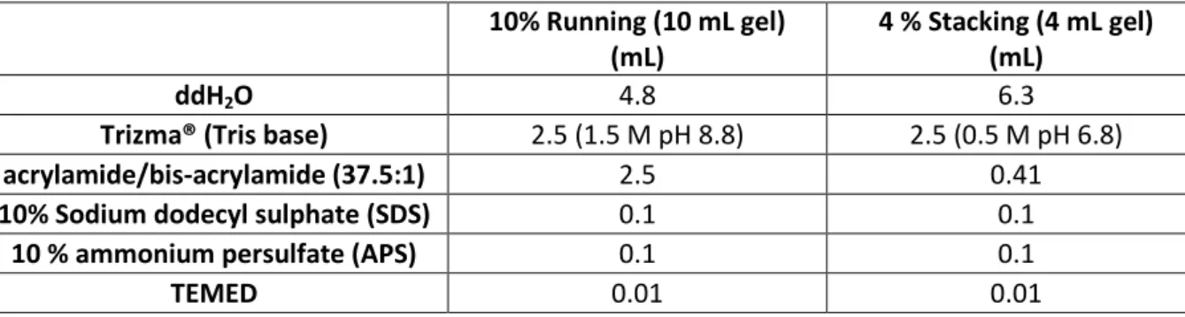 Table 3.3: Reagents required to hand-cast 10% running and 4 % stacking SDS- SDS-polyacrylamide (SDS‐PAGE) gels