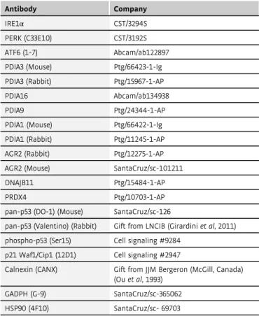 Table 1 . List of the antibodies used in this study