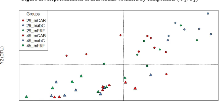 Figure 13: Representation of individuals obtained by components ( 
