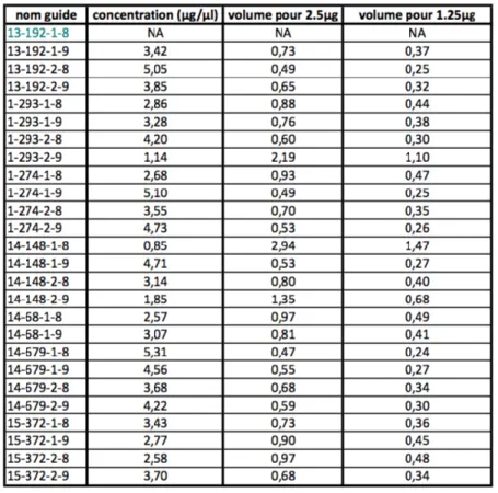 Tableau 2 : Concentration des guides purifiés et volumes utilisés pour les transfections
