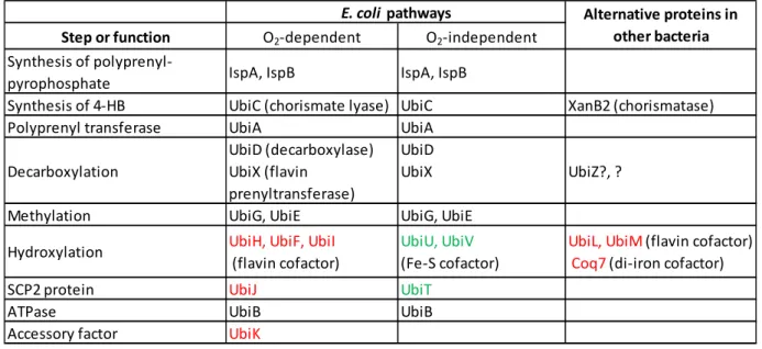 Table 1: Protein composition of the bacterial UQ biosynthetic pathways. green: proteins involved only in 377 