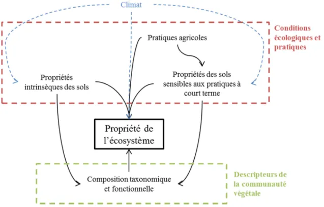 Figure 4 : Schéma conceptuel pour la modélisation des propriétés de l'écosystème 