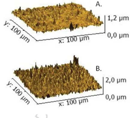 Fig. 3. AFM maps: (A) untreated NiTi surface and (B) nitrided NiTi surface. 