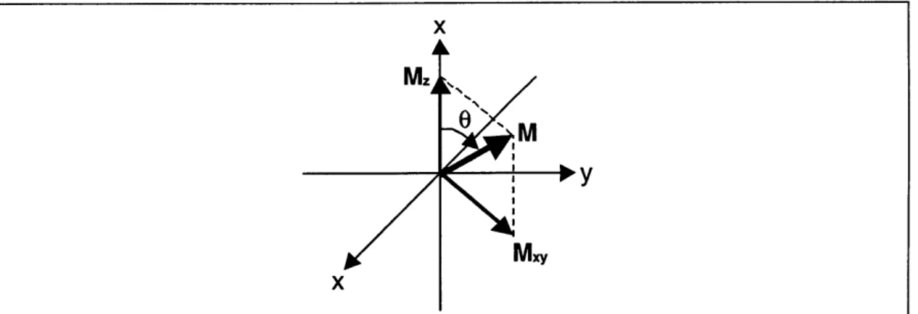 Figure  2.7:  Depicted  here  is  the  state  of  net  magnetization  immediately  after  the excitation  pulse,  B 1 , is  turned off